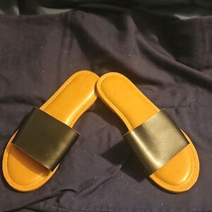 Black and Tan Women's Slide Sandals